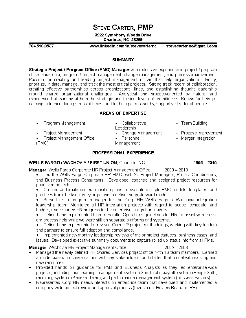 Resume it audit manager